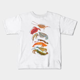 Anomalocaris Kids T-Shirt